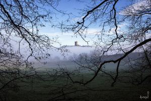 Photos du chateau de Polignac en Haute Loire, Bois des seigneurs. La denise Polignac. 